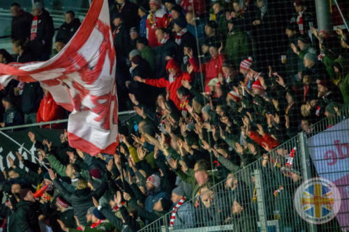 btsv vs zwickau h 19-20 0312