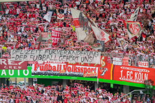 wolfsburg vs koeln 19-20 1L-ger 0061